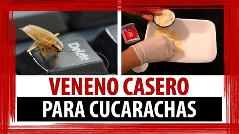 veneno para cucarachas en casa.